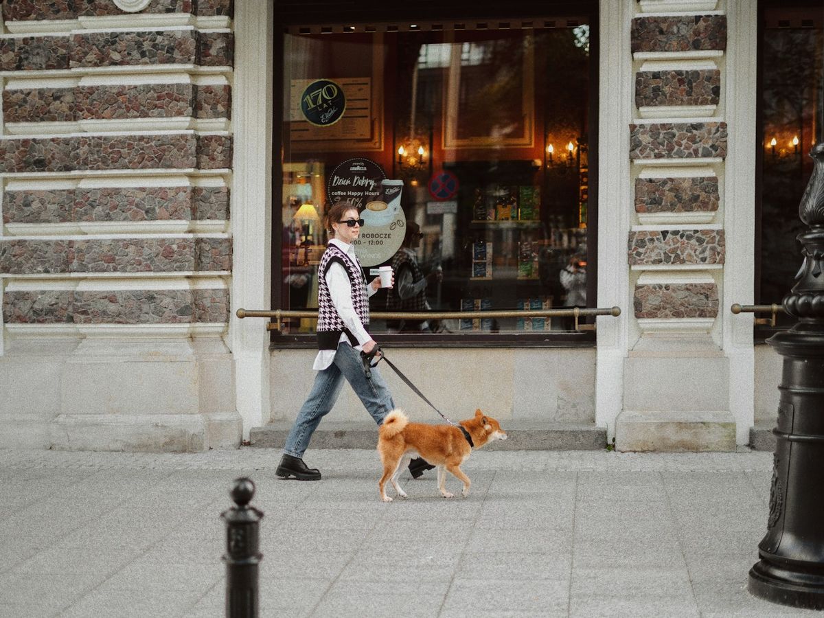 カフェの前を柴犬と散歩する人